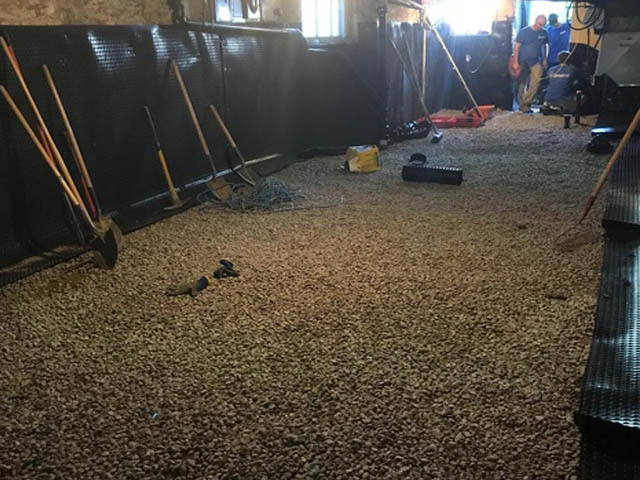 Basement