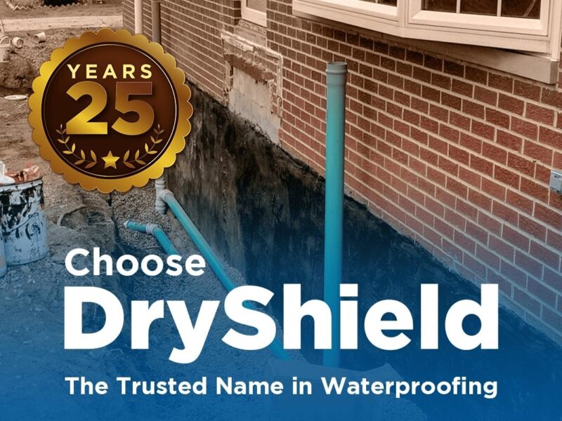 Dryshield 25 Years