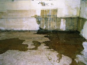 Effects Signs And Common Causes Of Wet Basement