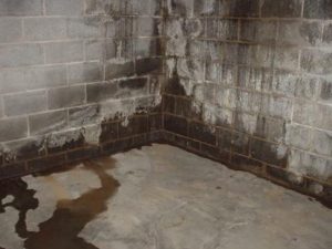 Most Convenient Way To Get Rid Of Dampness