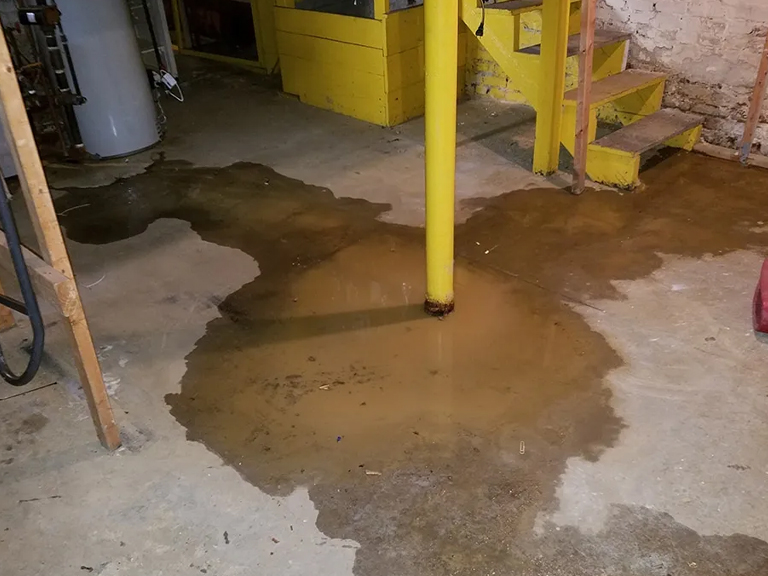 What Causes Water Seepage in Basement & How to Take Care of It?