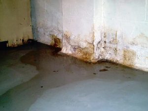 How To Spot Cracks Around Your Home Early