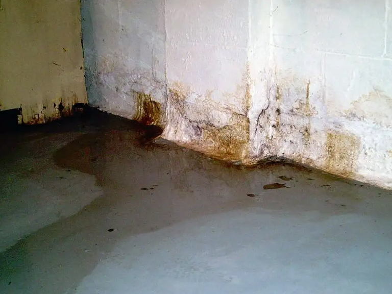 How to Spot Cracks Around your Home Early and Avoid Water Damage and Unnecessary Costly Repairs