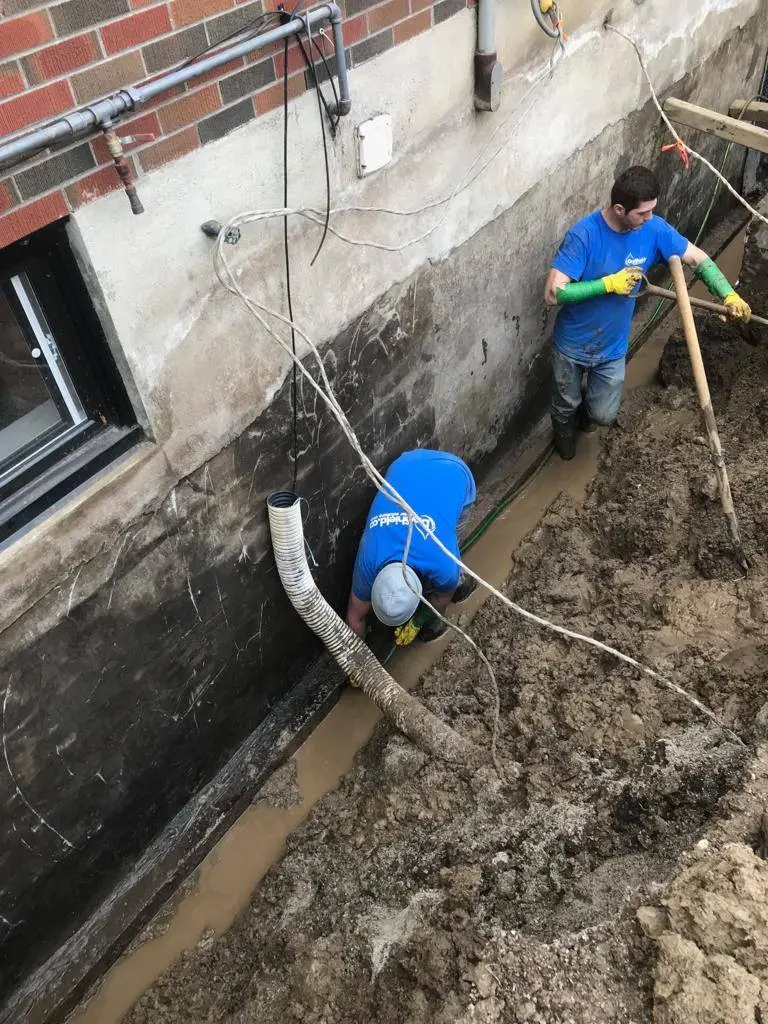 dryshield mb20