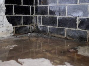 Basement Waterproofing Methods You Should Know About
