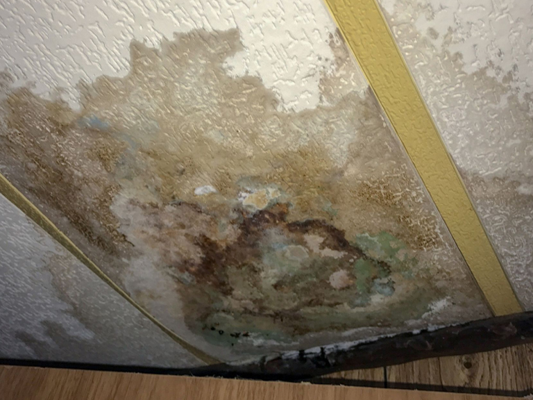 Tips To Deal With Mold Mildew And Water