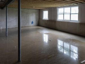 Flooded Basement from the spring thaw.